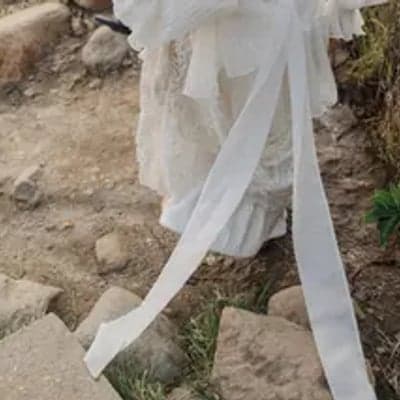 Abigail Fenton Photography