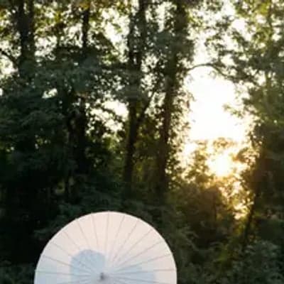 Chace Yang Photo + Video