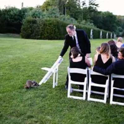 Channing Johnson Photography