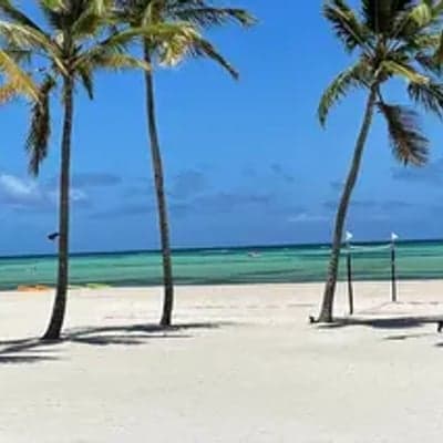 Charlie Brown's Travel