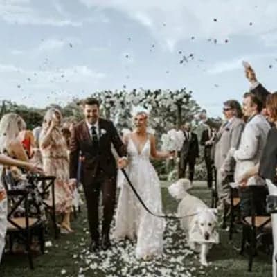 Dreamlife Photos & Video