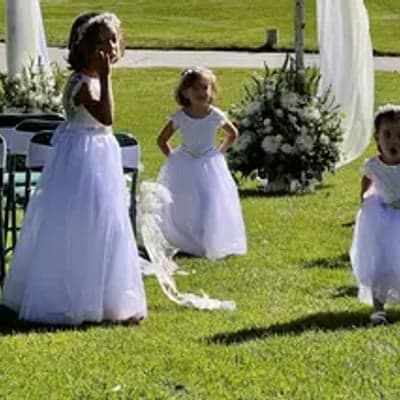 Elegance Elevation Events