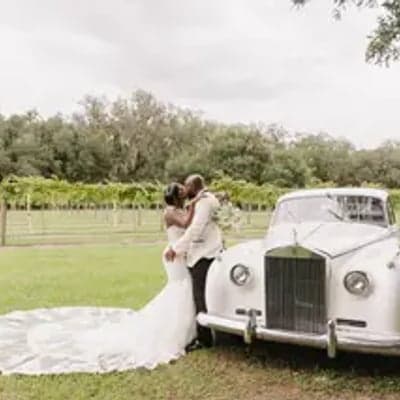 Ever After Farms Vineyard