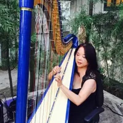 Harp Music By Vonette & Musical Networks