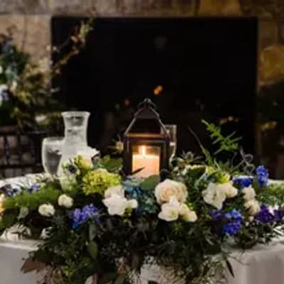 Ross Plants and Flowers