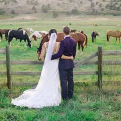 Sylvan Dale Guest Ranch