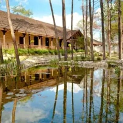 The Springs in Magnolia