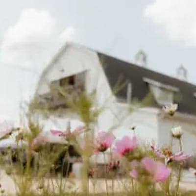 Wild Blackberry Farms