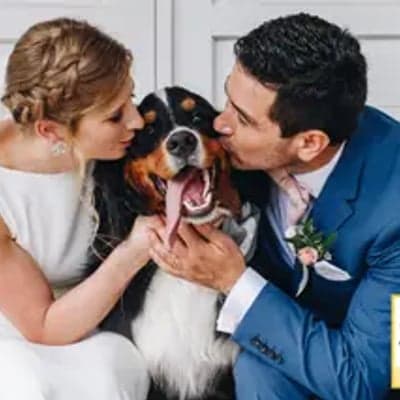 Yellow Paddle Photography